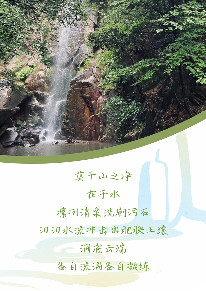 心心念廿 相伴东森 | 与德清相约 贺廿载诞辰